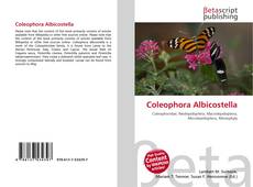 Copertina di Coleophora Albicostella