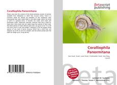 Buchcover von Coralliophila Panormitana