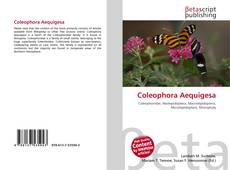 Capa do livro de Coleophora Aequigesa 