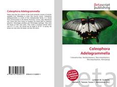 Capa do livro de Coleophora Adelogrammella 
