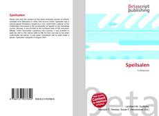 Couverture de Speilsalen