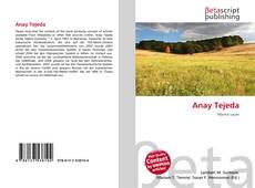 Capa do livro de Anay Tejeda 