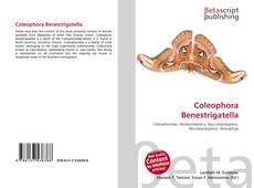 Capa do livro de Coleophora Benestrigatella 