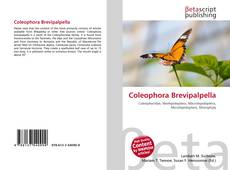 Bookcover of Coleophora Brevipalpella