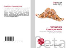 Portada del libro de Coleophora Caelebipennella