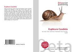 Eupleura Caudata的封面