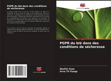 PGPR du blé dans des conditions de sécheresse的封面