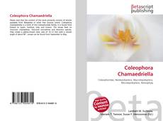 Portada del libro de Coleophora Chamaedriella