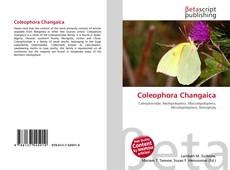Couverture de Coleophora Changaica
