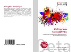 Buchcover von Coleophora Halostachydis