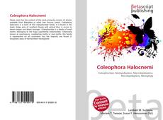 Buchcover von Coleophora Halocnemi