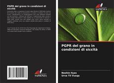 Couverture de PGPR del grano in condizioni di siccità
