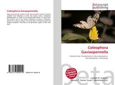 Coleophora Gaviaepennella的封面