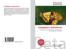 Обложка Coleophora Gabralensis