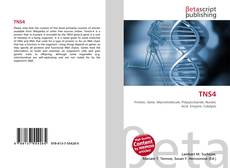 Capa do livro de TNS4 