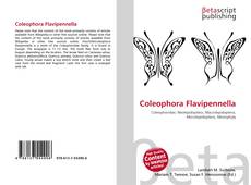Capa do livro de Coleophora Flavipennella 