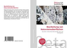 Bearbeitung von Natursteinoberflächen的封面