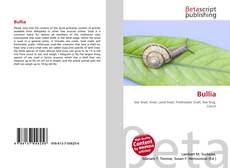 Обложка Bullia