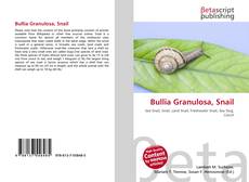 Обложка Bullia Granulosa, Snail
