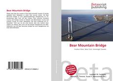 Buchcover von Bear Mountain Bridge