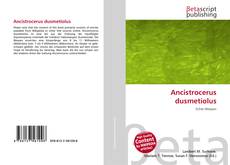 Portada del libro de Ancistrocerus dusmetiolus