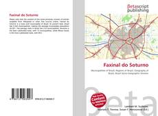 Couverture de Faxinal do Soturno