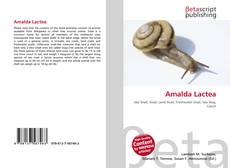 Bookcover of Amalda Lactea