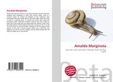 Bookcover of Amalda Marginata