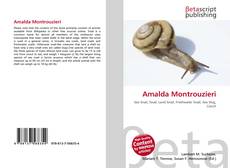 Bookcover of Amalda Montrouzieri