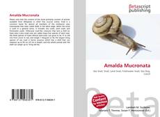 Bookcover of Amalda Mucronata