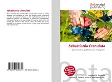 Bookcover of Sebastiania Crenulata