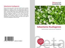 Sebastiania Huallagensis的封面