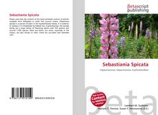 Обложка Sebastiania Spicata