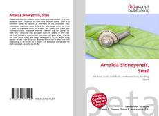 Обложка Amalda Sidneyensis, Snail