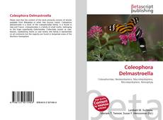 Portada del libro de Coleophora Delmastroella