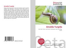 Bookcover of Amalda Turgida