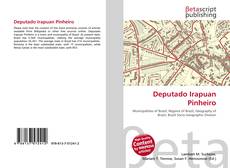 Portada del libro de Deputado Irapuan Pinheiro
