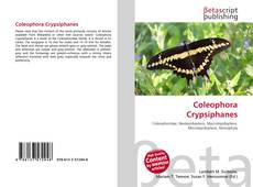 Portada del libro de Coleophora Crypsiphanes
