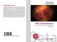 Portada del libro de 8961 Schoenobaenus
