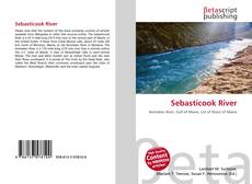 Sebasticook River的封面