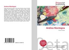 Copertina di Andrea Mantegna