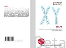 Portada del libro de TULP1