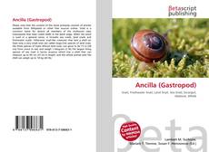 Обложка Ancilla (Gastropod)