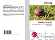 Copertina di Ancilla Castanea