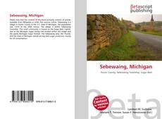 Обложка Sebewaing, Michigan