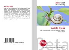 Обложка Ancilla Ovalis