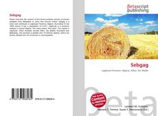 Обложка Sebgag