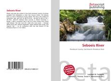 Buchcover von Seboeis River