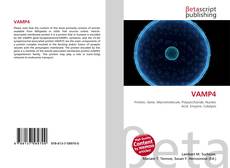 Buchcover von VAMP4