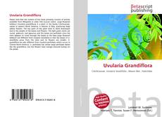 Copertina di Uvularia Grandiflora